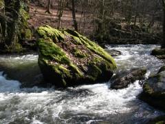 Il y avait... Littérature