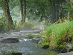 Il y avait... Littérature