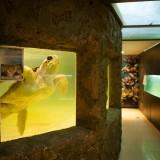 Captive – Gaston Lacombe Lacombe - Captive 13
