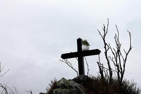 Grand froid sur la lutte des classes Grand froid sur la lutte des classes