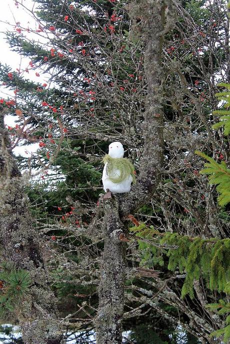 Grand froid sur la lutte des classes Grand froid sur la lutte des classes