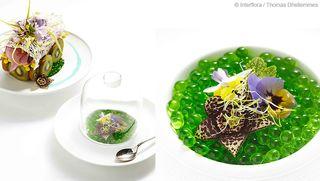 Interflora-soupe-japonaise