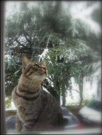 Manteau pour bébé fille 2013.11.20-5- Premier jour de neige