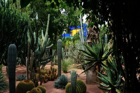 Jardins Majorelle Yves Saint Laurent Maroc
