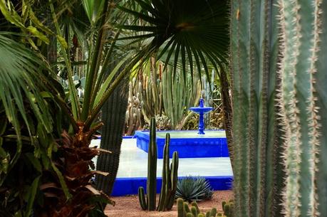 Marrakech Jardins Majorelle Yves Saint Laurent Maroc