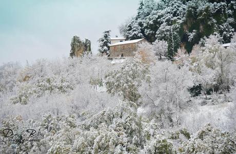 Première neige à Ampus 1479136_593136244067641_449518573_n