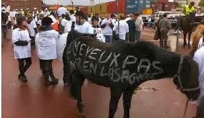 Les ONG se sont imposées comme des sources incontournables Les ONG se sont imposées comme des sources incontournables