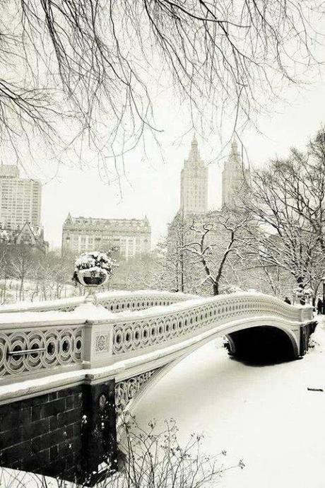 Let it Snow Let It Snow, Let It Snow ∞. | via Facebook