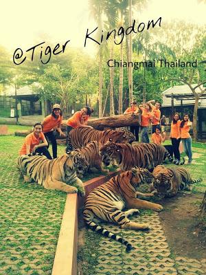 Tiger Kingdom Chiang Mai [HD]