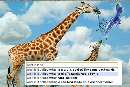 10 suggestions bizarres de google, illustrées 10 suggestions bizarres de google, illustrées