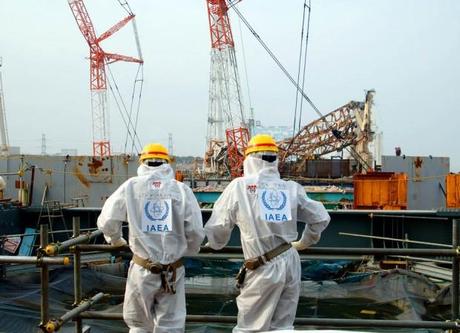 fukushima_experts_photo_IAEA Imagebank