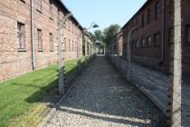 C’était donc ça Auschwitz… en 2010