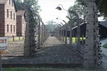 C’était donc ça Auschwitz… en 2010