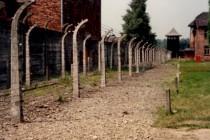 C’était donc ça, Auschwitz… en 1988