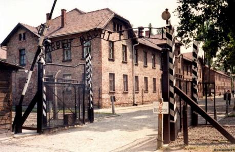 Auschwitz en 1988