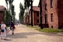 C’était donc ça, Auschwitz… en 1988