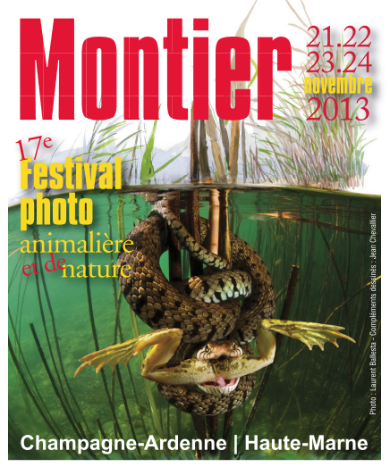 FestiPhoto MontierEnDer [Vidéo] Interview au festival de photographie animalière à Montier en Der