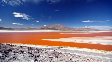 La laguna Colorada – Bolivie Laguna Colorada