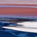 La laguna Colorada – Bolivie Laguna Colorada 05