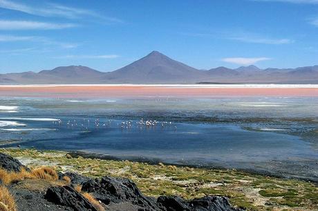 La laguna Colorada – Bolivie Laguna Colorada 06