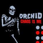 BACK IN THE DAYS ! Rencontre avec Aurélien DAÏTRO… chaos