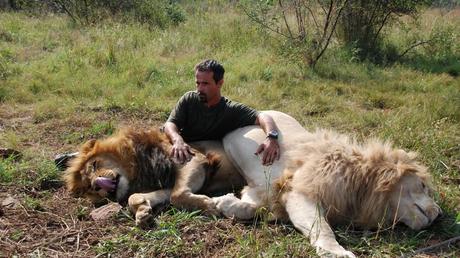 Kevin Richardson, l’homme qui fait des calins aux lions sauvages