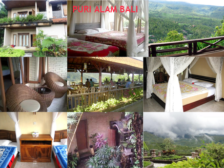 Se loger à Munduk : 5 hôtels et homestay confort et pas cher Puri Alam Bali Hotel à Munduk, Bali, Indonesie