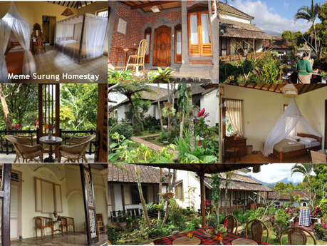 Se loger à Munduk : 5 hôtels et homestay confort et pas cher Meme Surung Homestay à Munduk, Bali, Indonésie