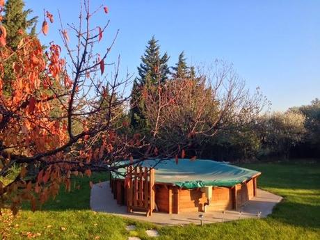 Temps de Novembre... Temps de Novembre...