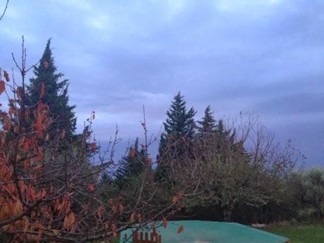 Temps de Novembre... Temps de Novembre...