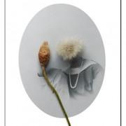 Exposition « Le Jeu des Images » au « Magasin des Jouets » Exposition « Le Jeu des Images » au « Magasin des Jouets »