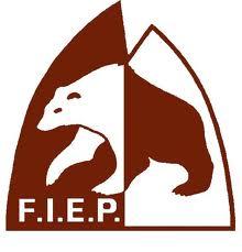 Logo-fiep