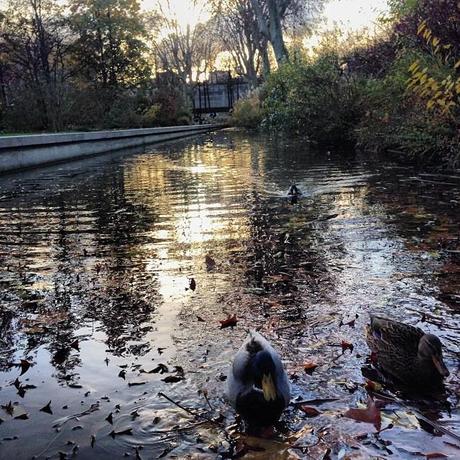 parc-de-bercy Ma semaine en mots et en photos instagram (108), avec un abonnement à un magazine à gagner