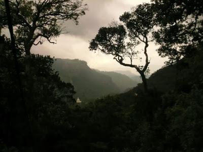 Sri Lanka : pèlerinage au Pic d'Adam