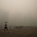 lannee-2013-en-images-30 lannee-2013-en-images-30