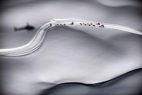 L'année 2013 en images L’année 2013 en images