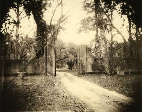 [Sally-mann9.jpg]