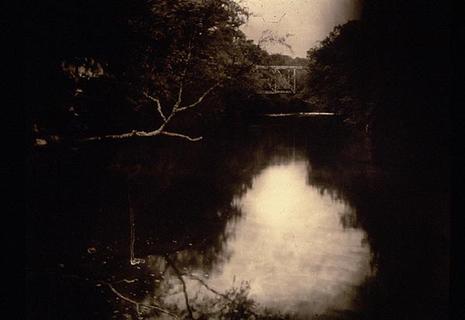 [Sally-mann.jpg]