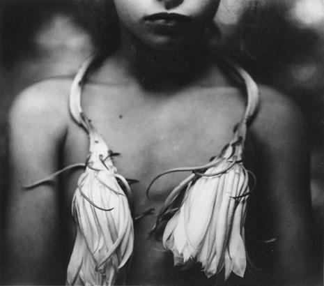 [Sally-mann2.jpg]