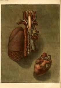 Images de la médecine coeur2
