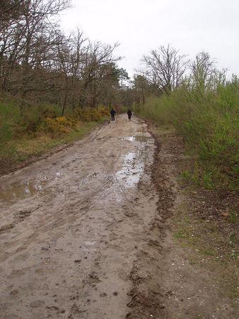IMPACT AMENAGEMENT DES BASSINS DE DECANTATION SUR LES CHEMINS travaux_bassins_d_cantation_andernos_mars_2008__12_