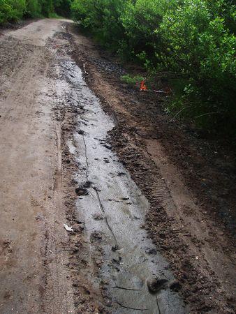 IMPACT AMENAGEMENT DES BASSINS DE DECANTATION SUR LES CHEMINS bassins_d_cantation_quinconces_andernos_mai_2008__11_