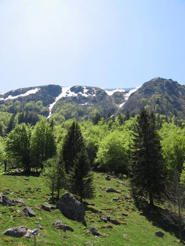 C'est le printemps.... C'est le printemps....