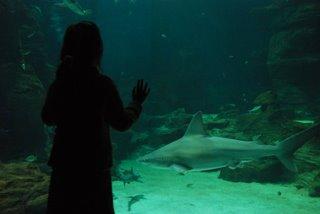 Mare nostrum