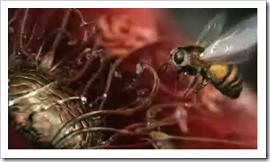 LUNDI et L’AUTRE ? : Stratégies marketing certes… LUNDI et L’AUTRE ? : Stratégies marketing certes…