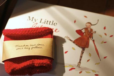 My Little Automne Box - Novembre 2013 MY-LITTLE-BOX-Novembre-2013_aunomi_3