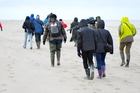 A la rencontre des phoques de la Baie de Somme A la rencontre des phoques de la Baie de Somme
