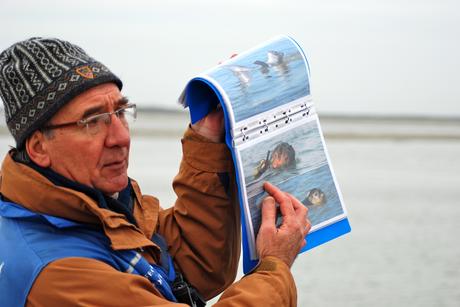 A la rencontre des phoques de la Baie de Somme A la rencontre des phoques de la Baie de Somme