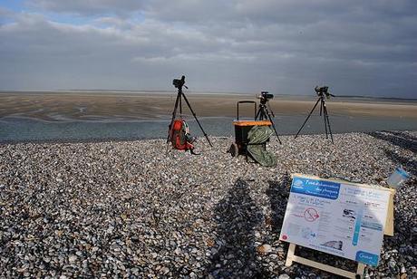 A la rencontre des phoques de la Baie de Somme A la rencontre des phoques de la Baie de Somme