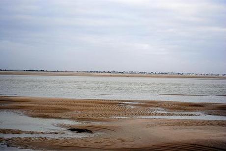 A la rencontre des phoques de la Baie de Somme A la rencontre des phoques de la Baie de Somme